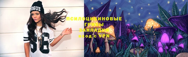 сатива Верхний Тагил