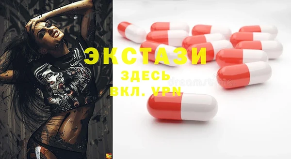 прущие грибы Верея