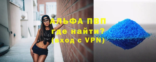 прущие грибы Верея