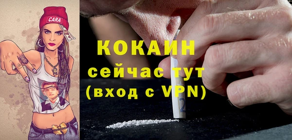 сатива Верхний Тагил