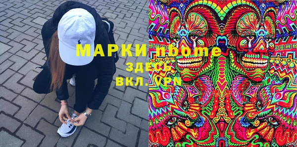 прущие грибы Верея