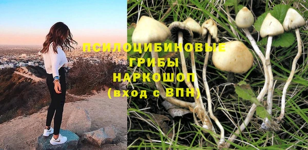 кокаин Белокуриха