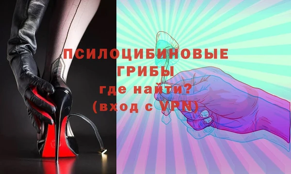 прущие грибы Верея